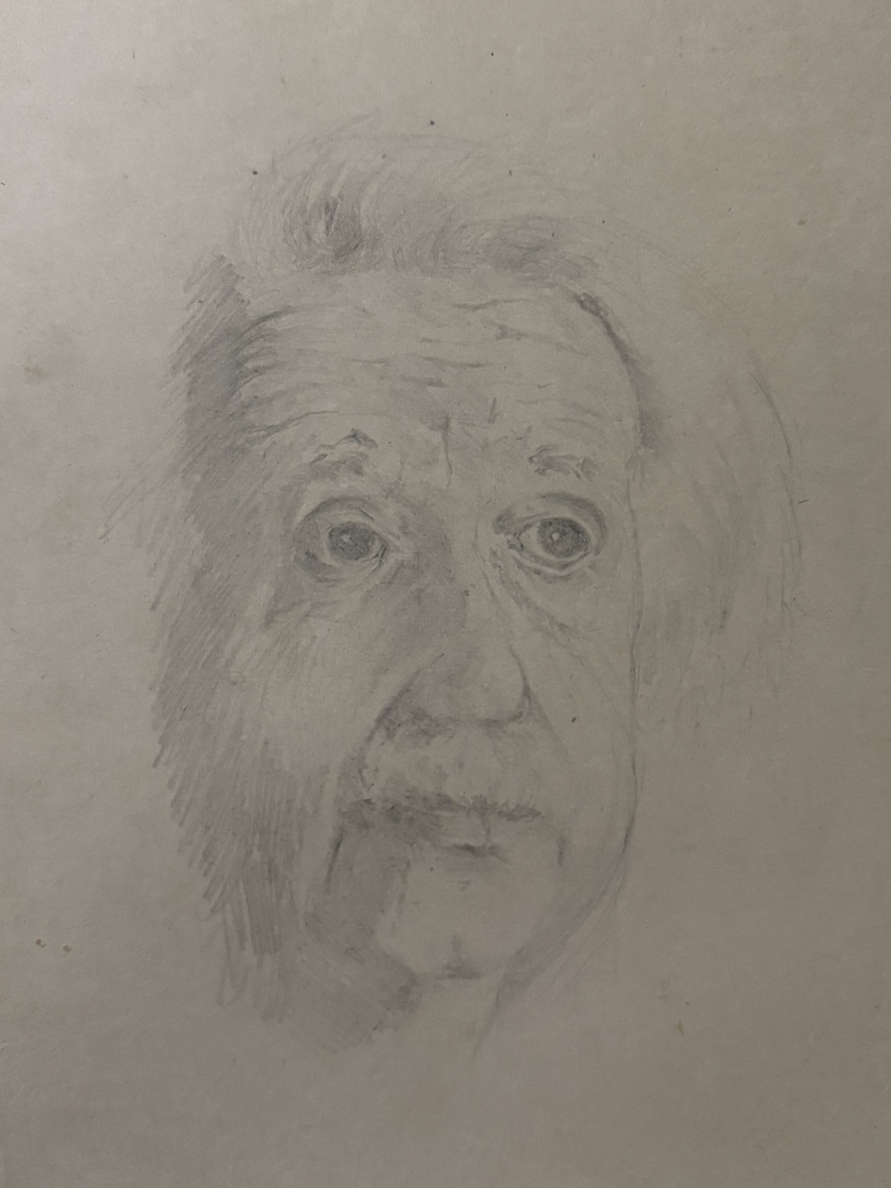 Pencil portrait of Einstein, 1995